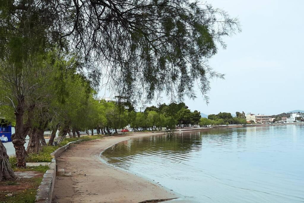 Πολυτελές Διαμέρισμα 3 Χαλκίδα-Παραλία Αυλίδος Paralia Avlidhos Экстерьер фото