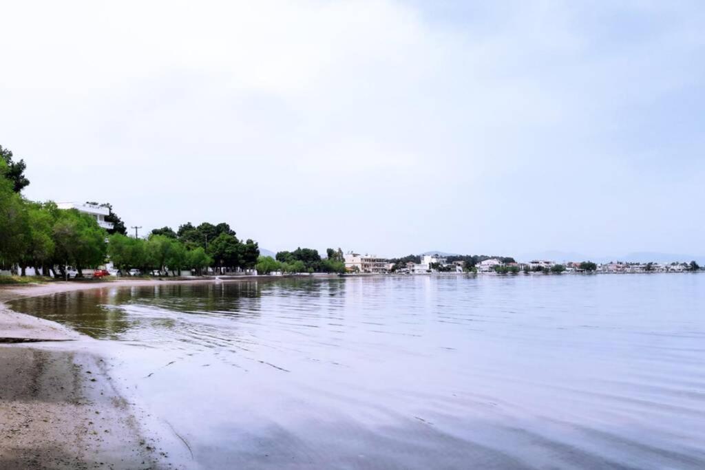 Πολυτελές Διαμέρισμα 3 Χαλκίδα-Παραλία Αυλίδος Paralia Avlidhos Экстерьер фото